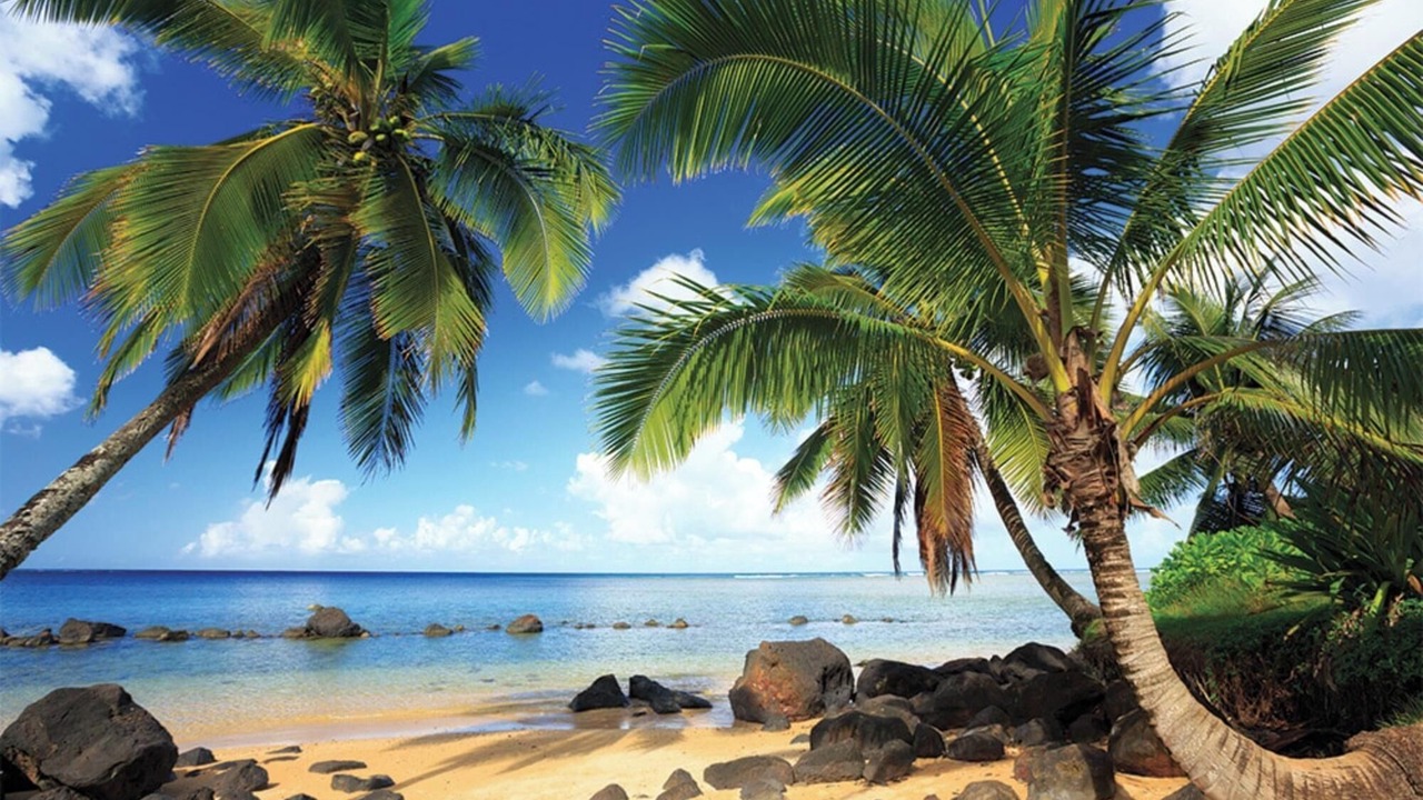 Photo of Others in Princeville