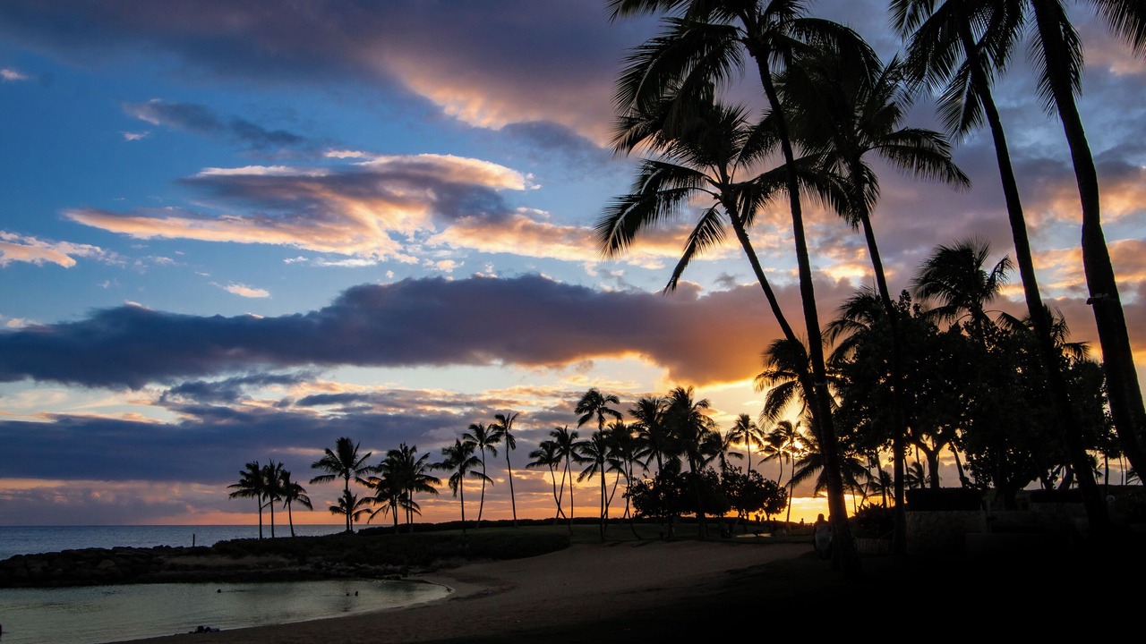 Photo of Others in Ko Olina