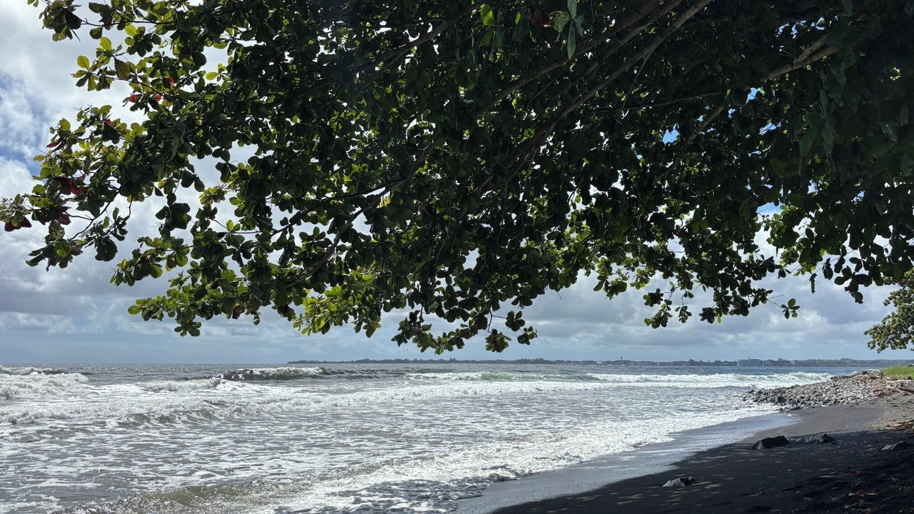 Photo of Others in Hilo