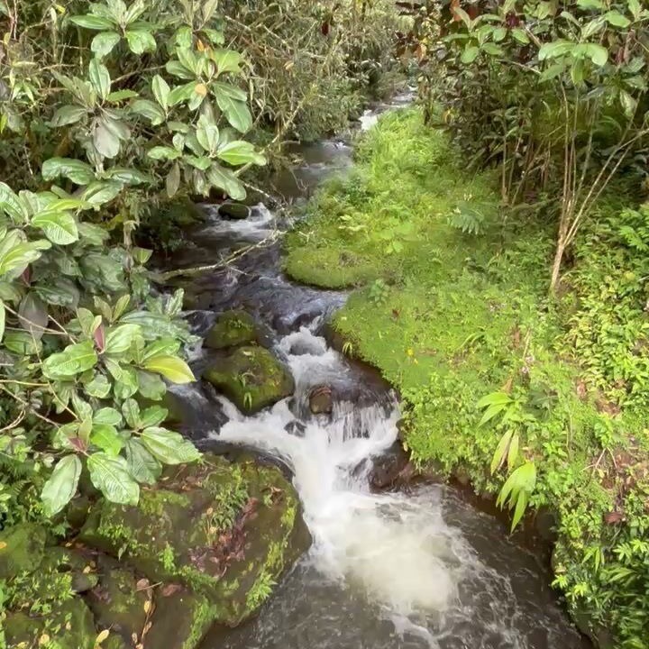 Photo of Others in Hilo