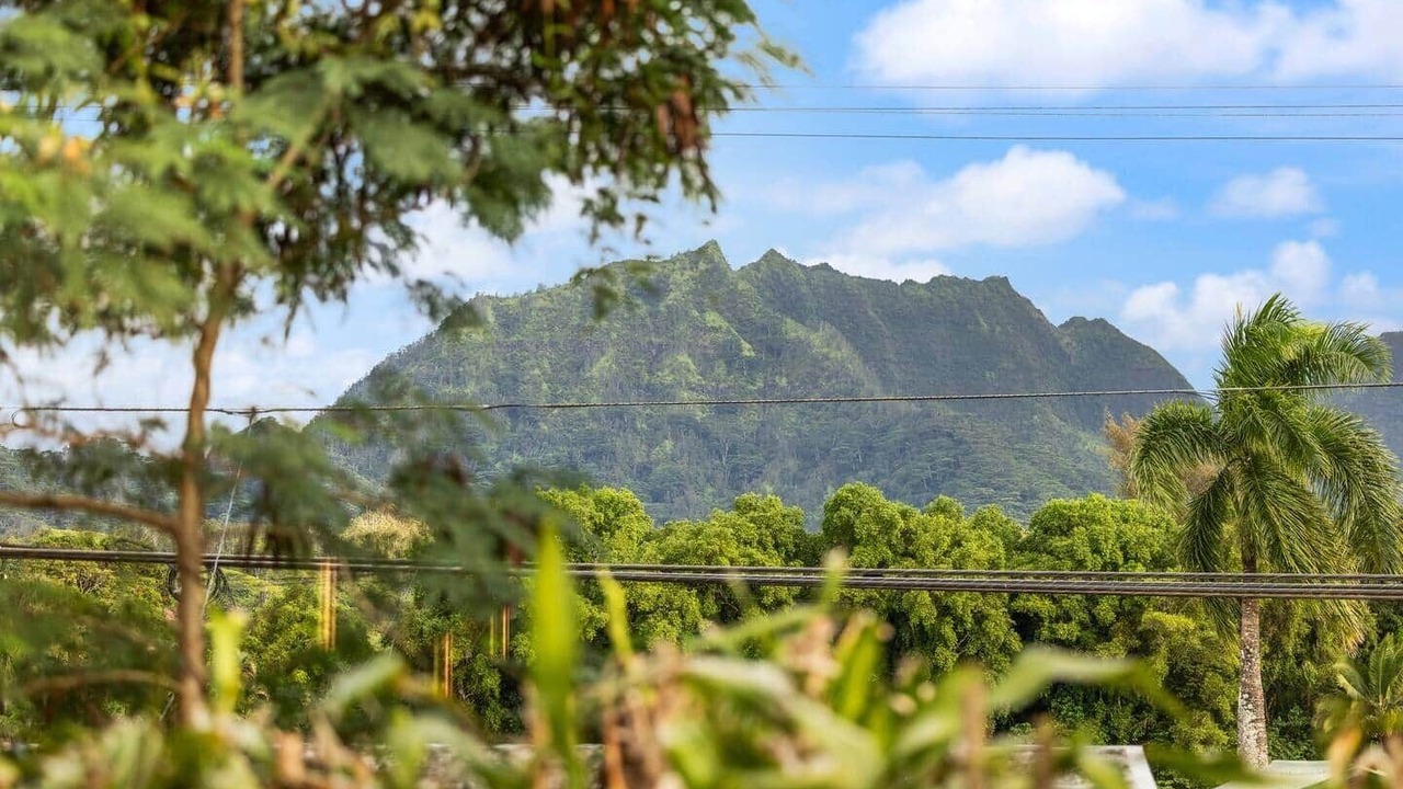 Photo of Others in Hanalei