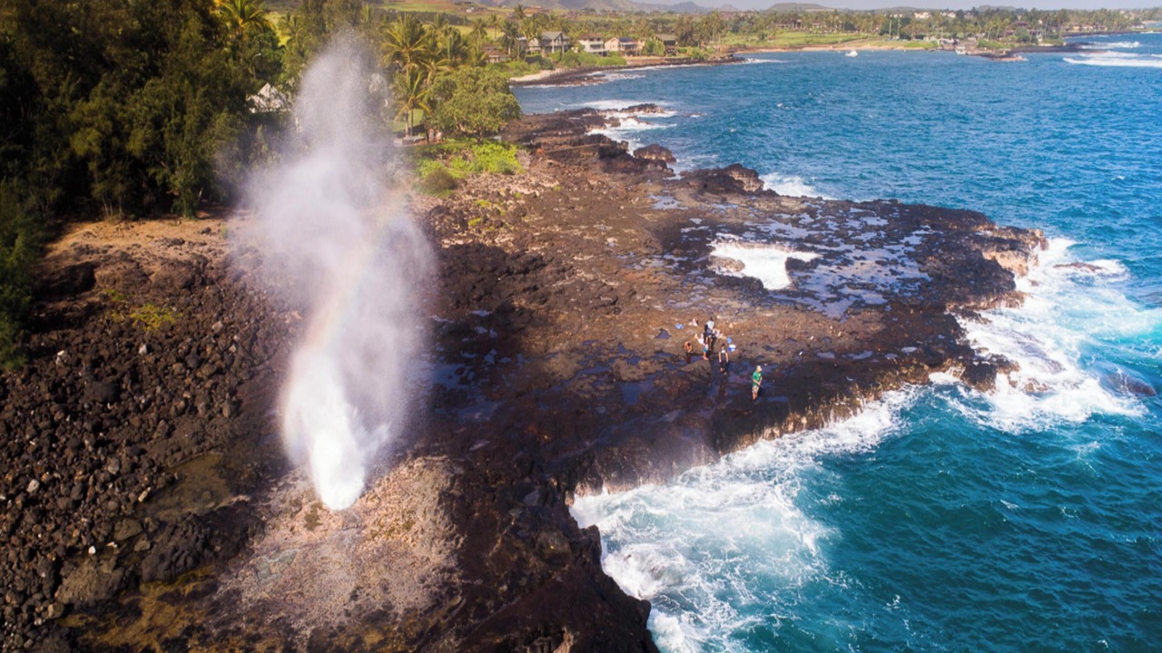 Photo of Others in Poipu