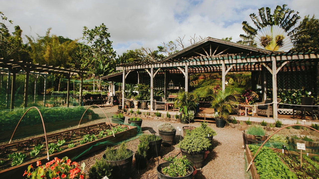 Photo of Others in Poipu