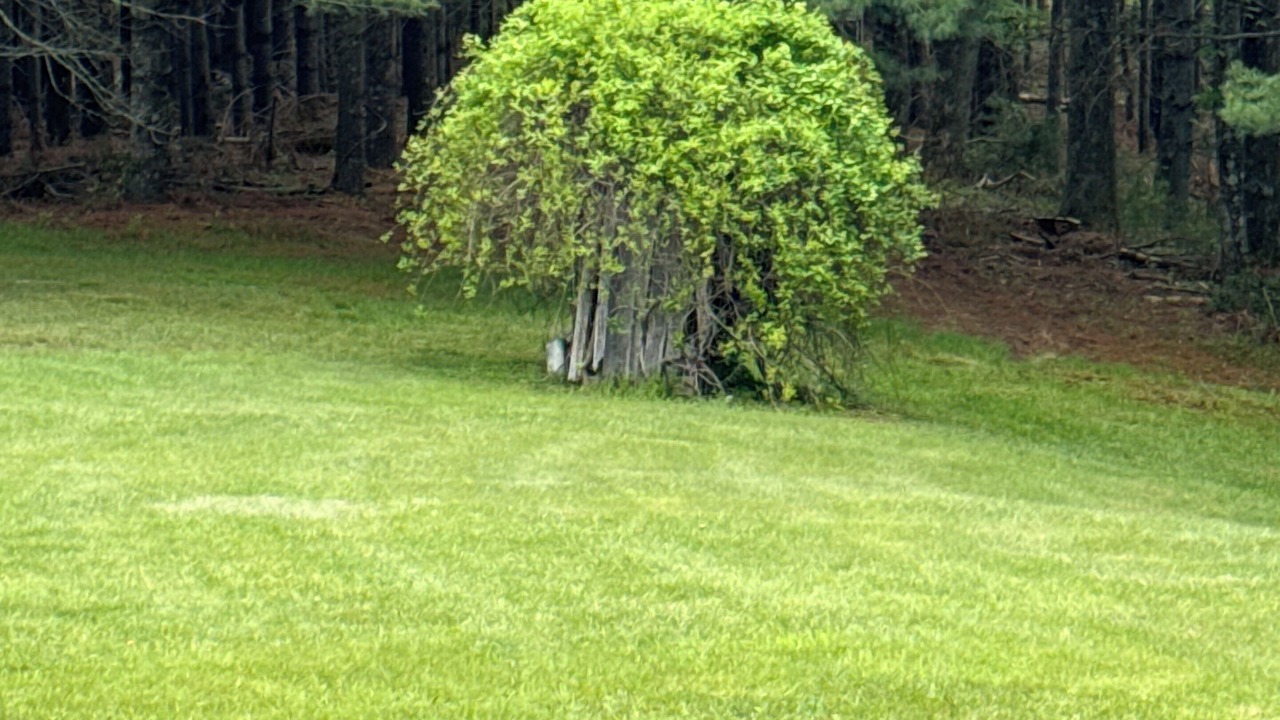 Photo of Others in Glade Valley
