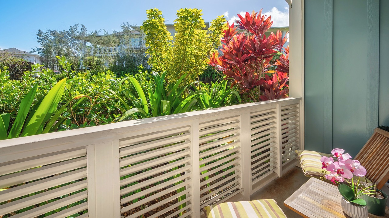 Photo of Outdoor in Princeville