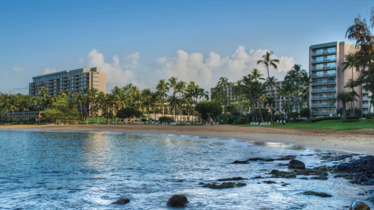 Photo of Others in Lihue