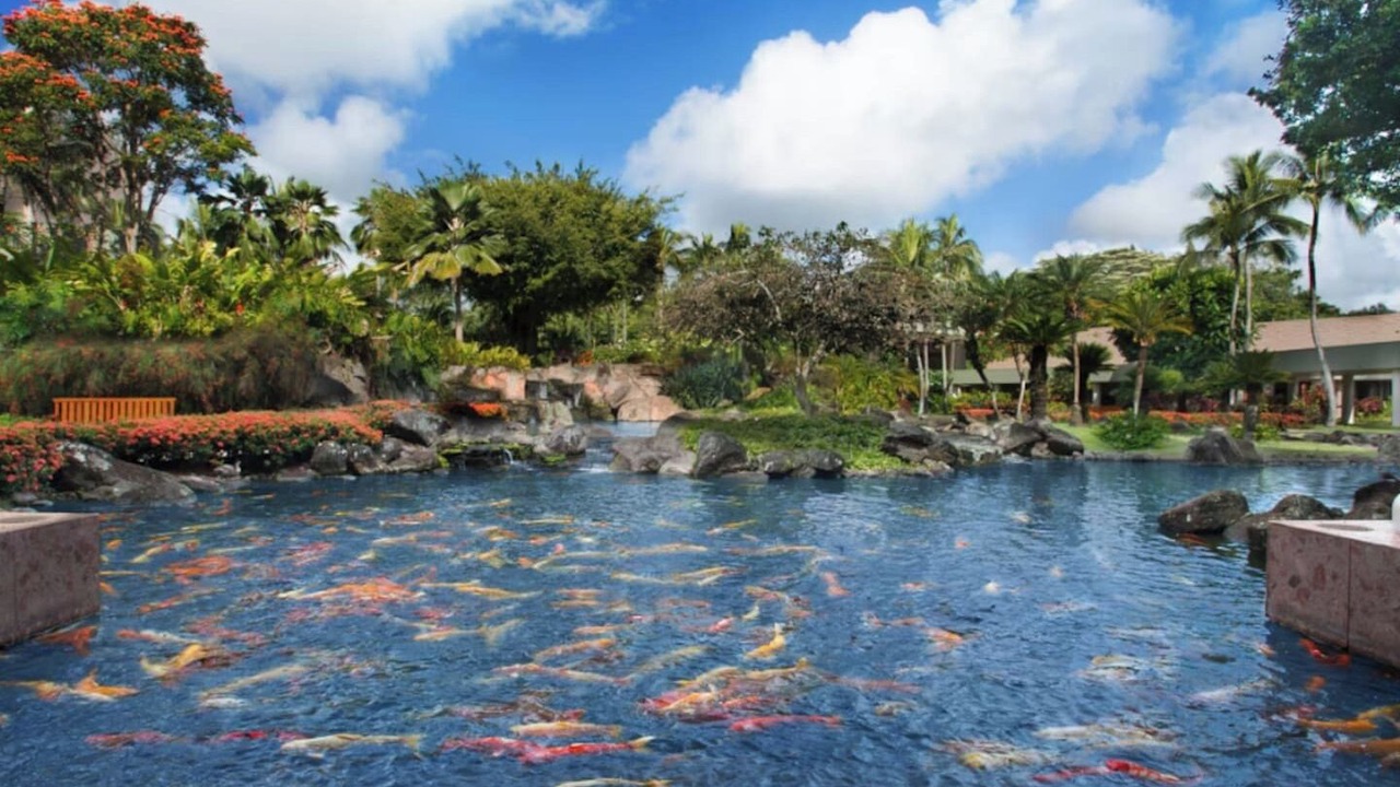 Photo of Others in Lihue