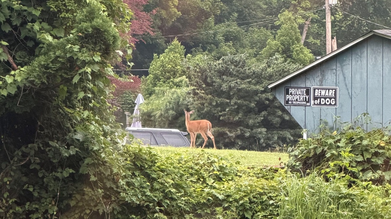 Photo of Outdoor in Mohnton