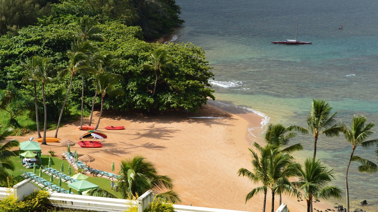 Photo of Others in Princeville