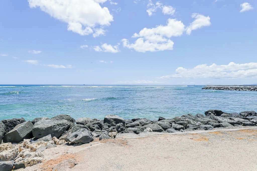 Photo of Others in Waikiki