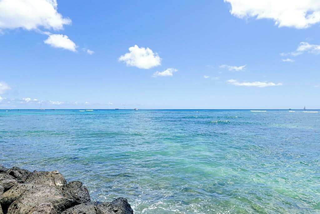 Photo of Others in Waikiki