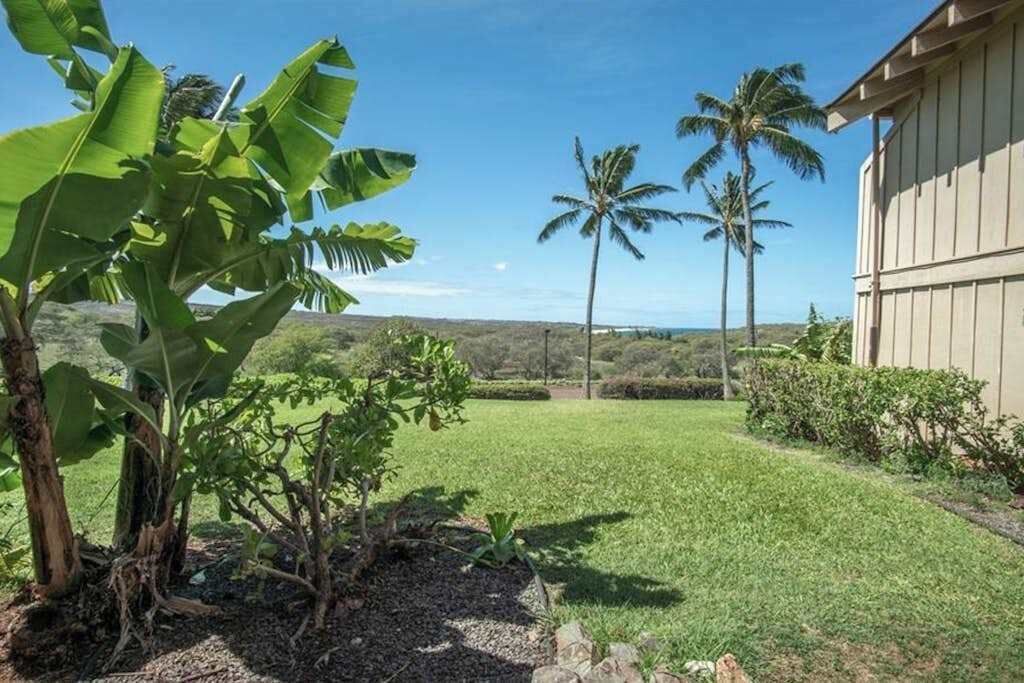 Photo of Outdoor in Maunaloa