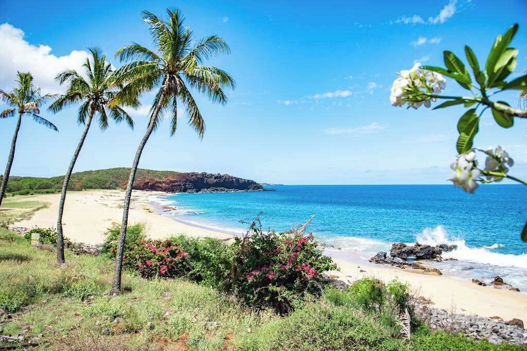 Photo of Others in Maunaloa