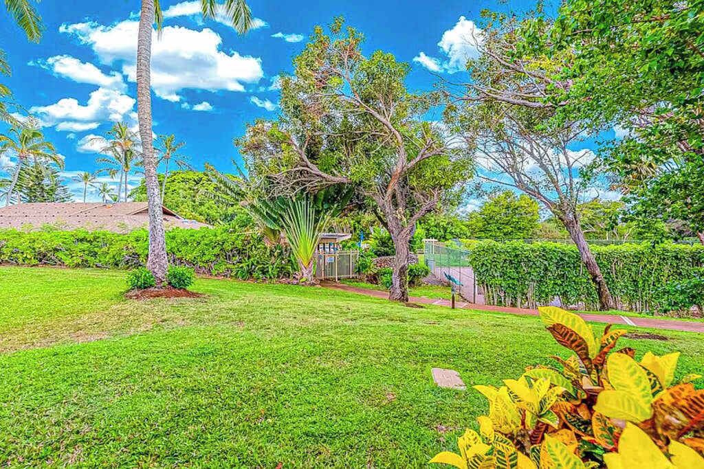 Photo of Outdoor in Maunaloa