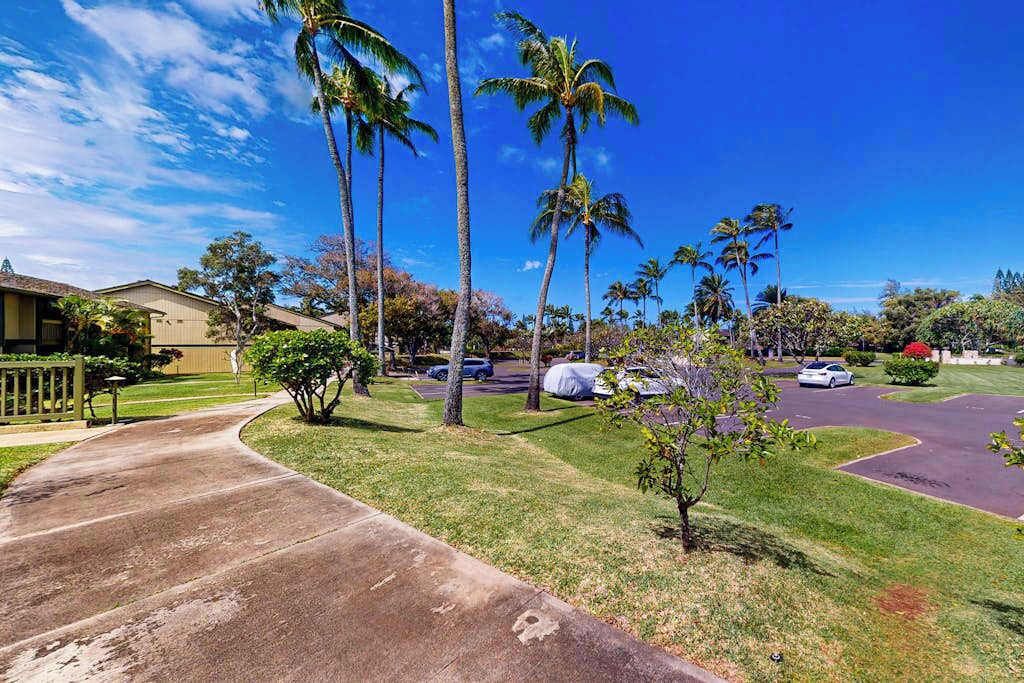 Photo of Outdoor in Kahuku