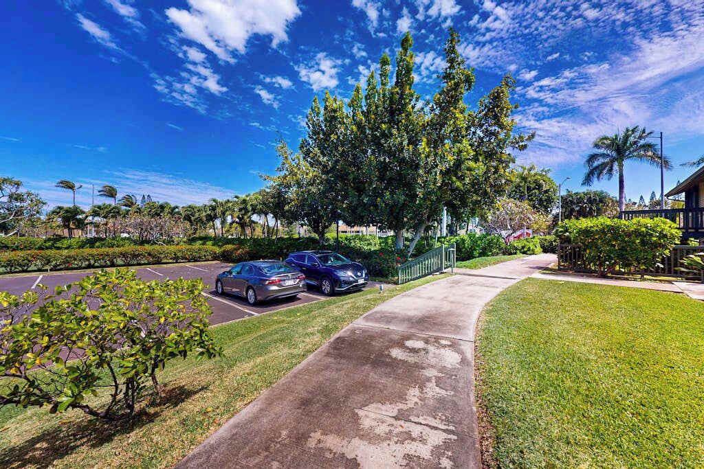 Photo of Outdoor in Kahuku