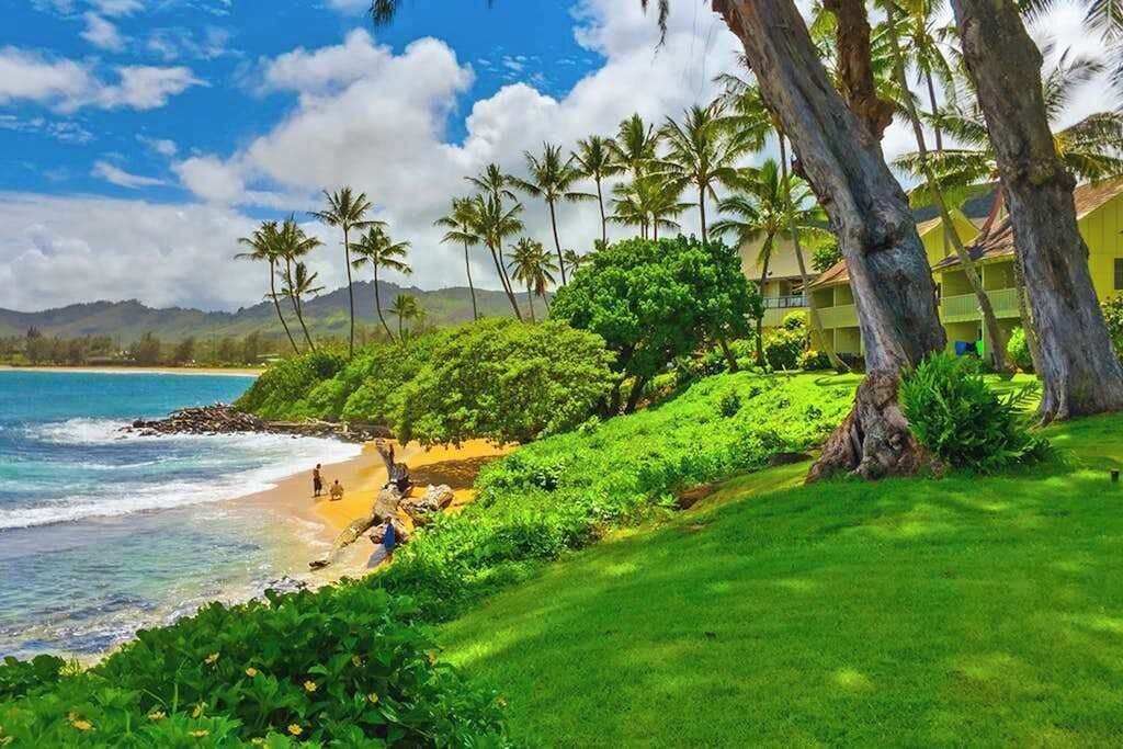 Photo of Others in Wailua