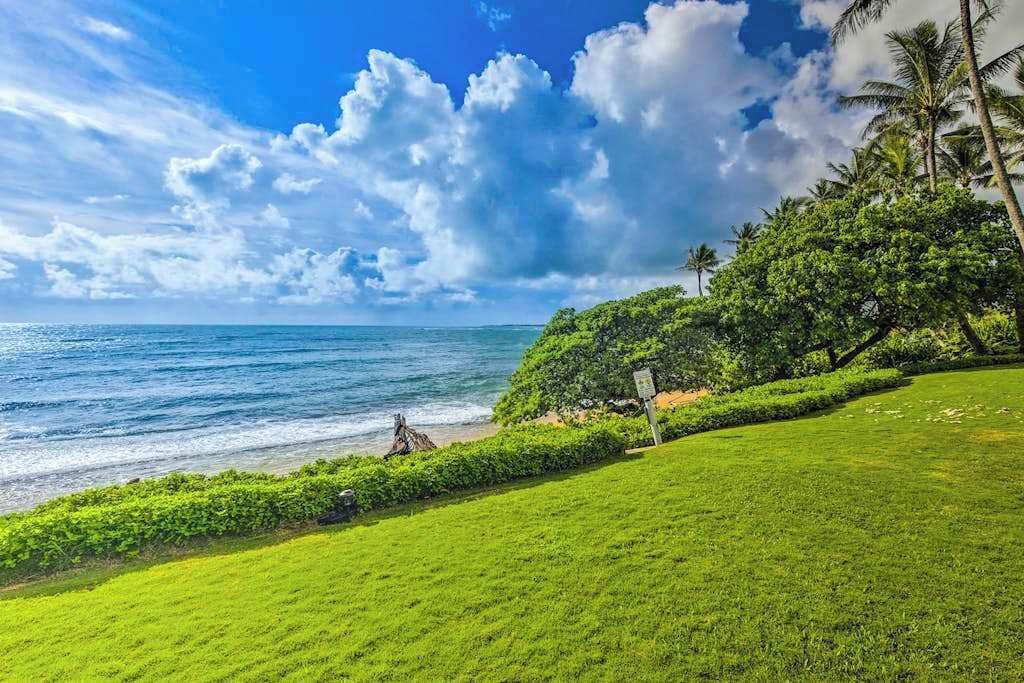 Photo of Others in Wailua
