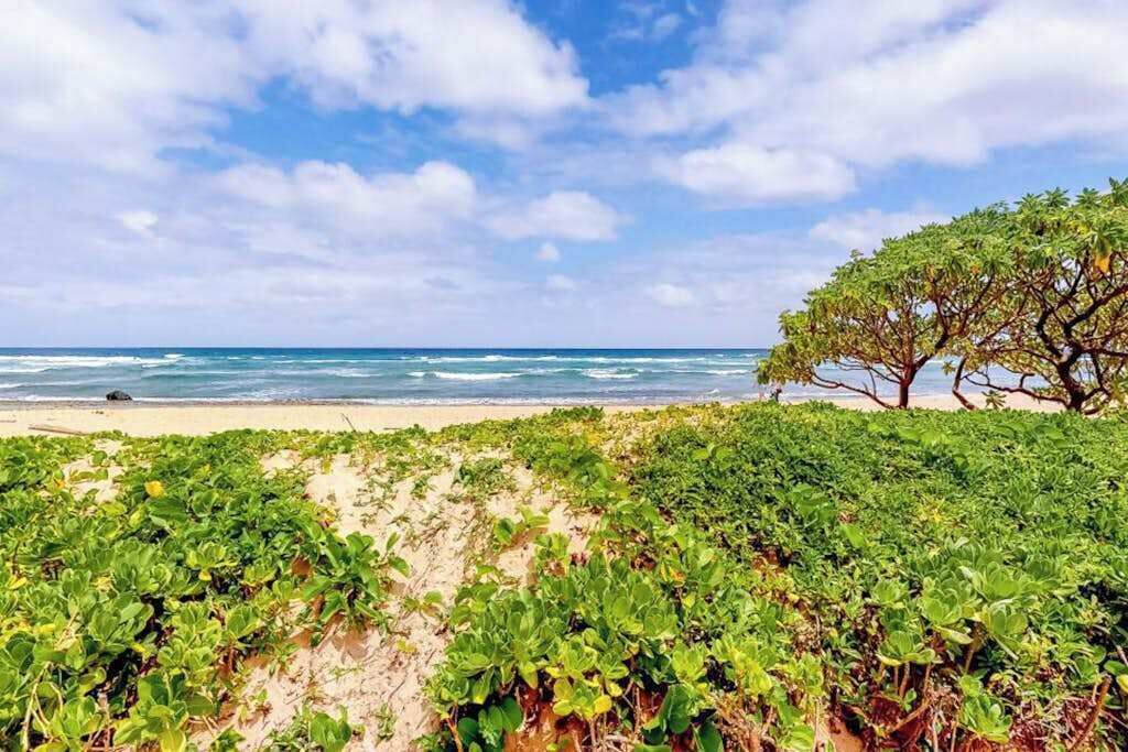 Photo of Others in Hanamaulu