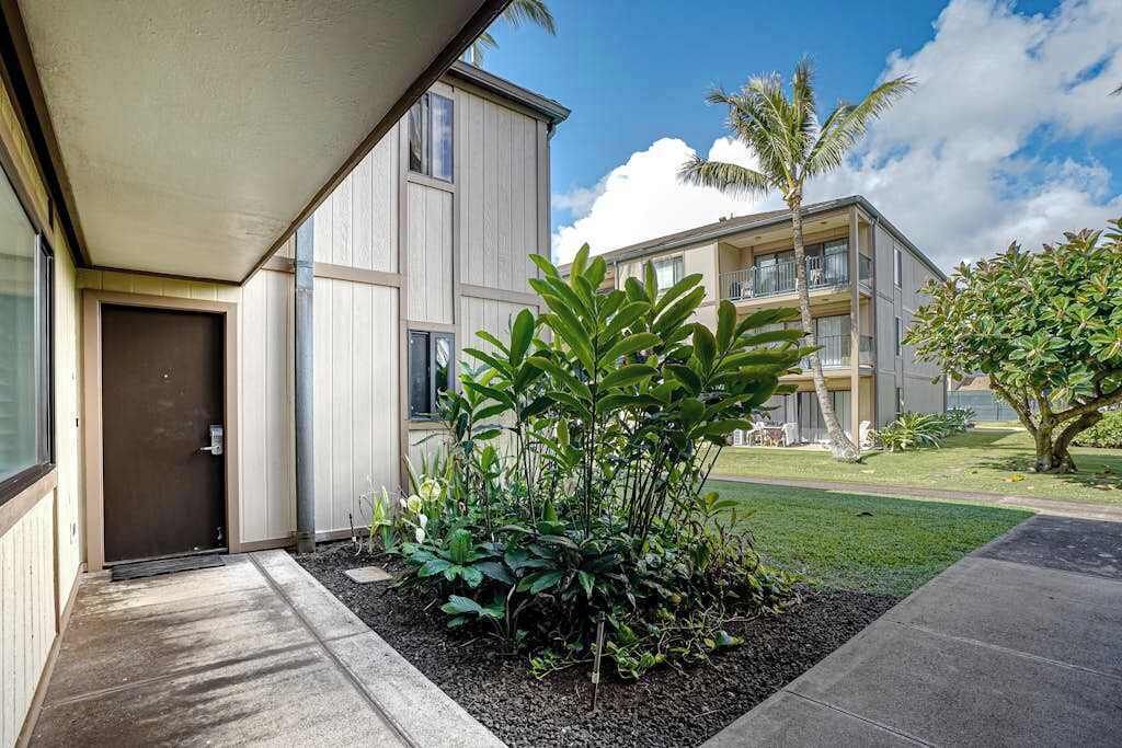 Photo of Outdoor in Kapaa