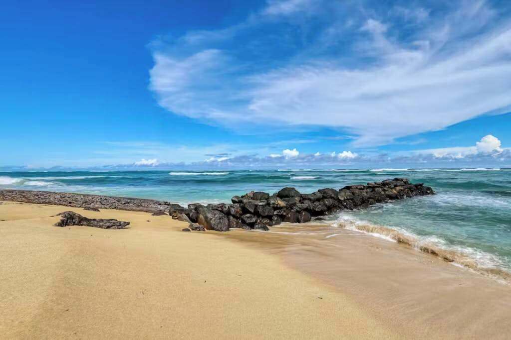 Photo of Others in Wailua