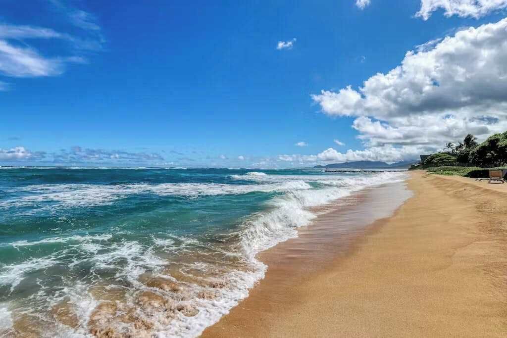 Photo of Others in Wailua