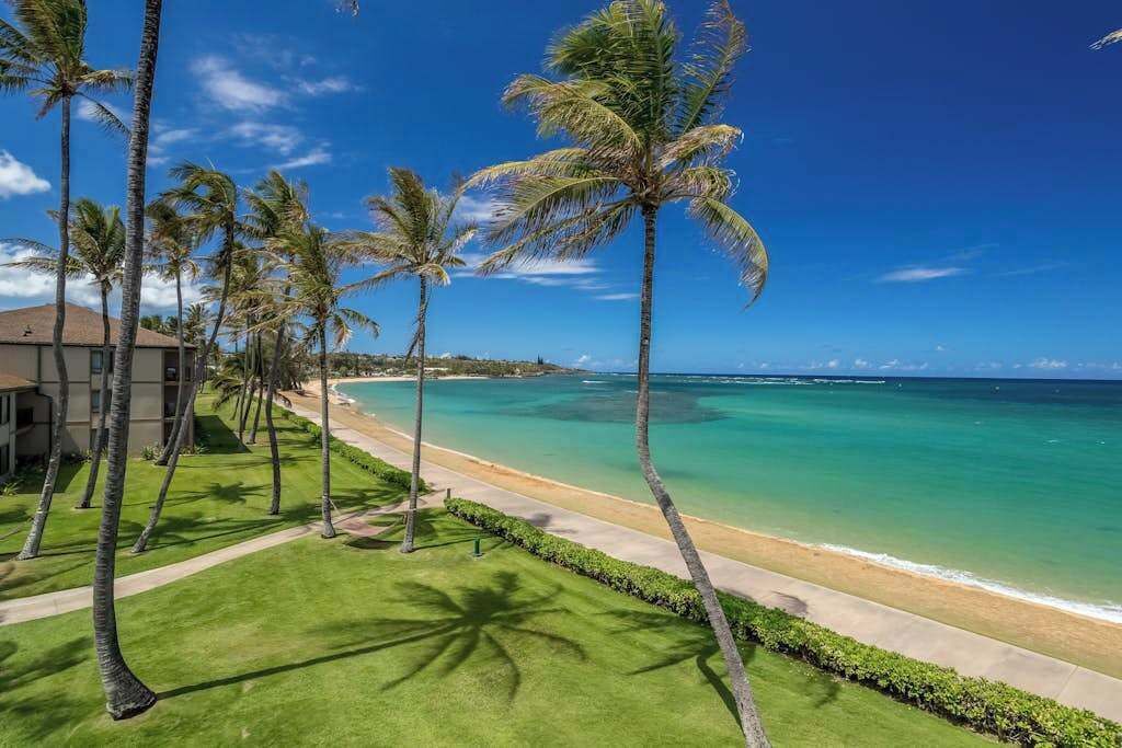Photo of Others in Kapaa