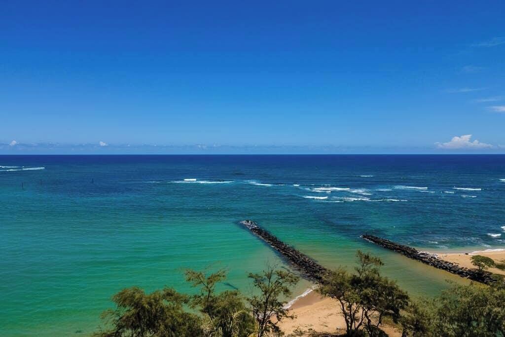 Photo of Others in Kapaa
