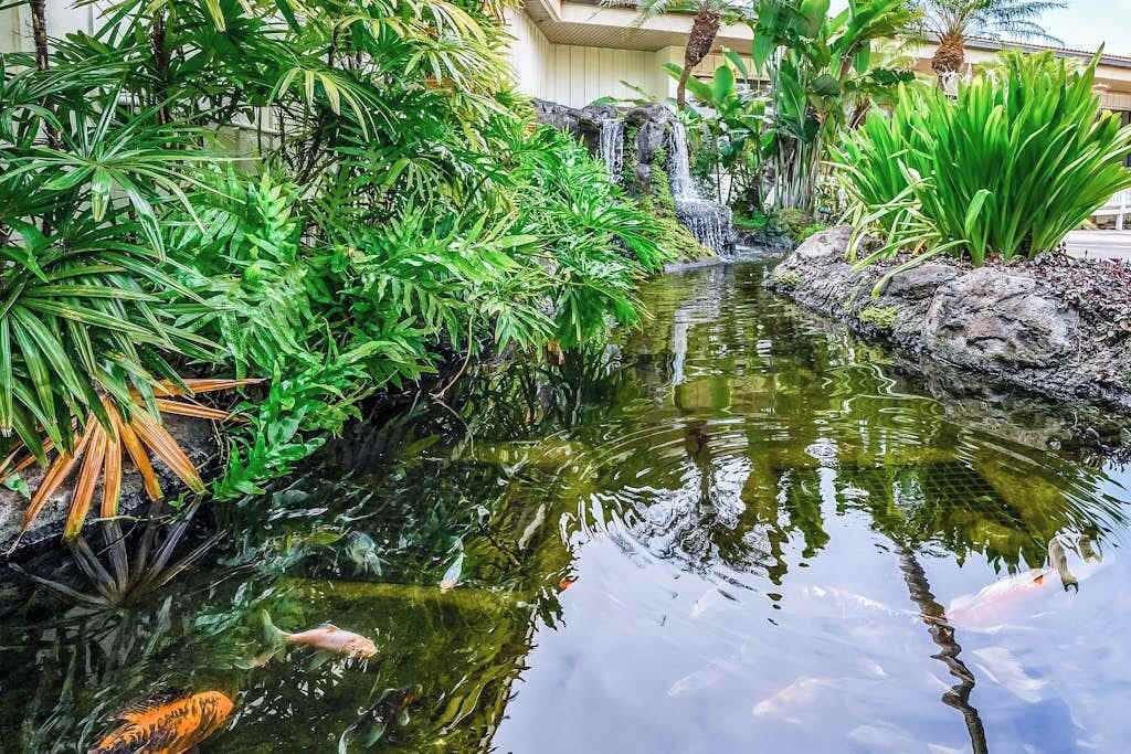 Photo of Outdoor in Hanamaulu