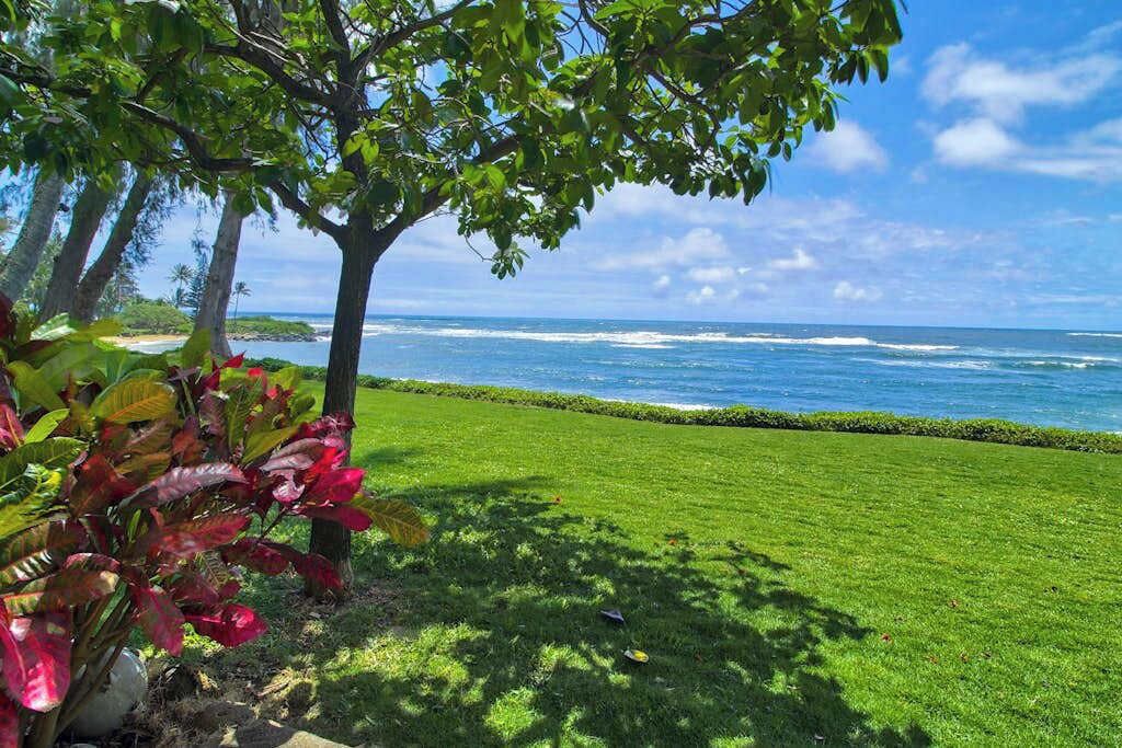 Photo of Others in Wailua