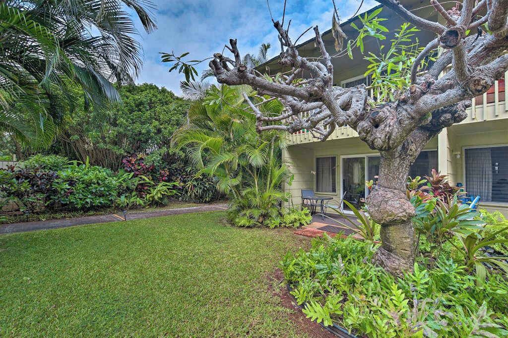 Photo of Outdoor in Wailua