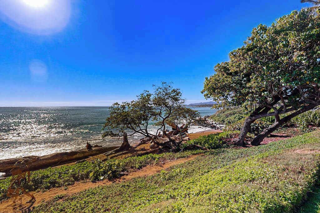 Photo of Others in Wailua House Lots