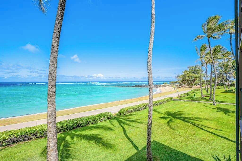 Photo of Others in Kapaa
