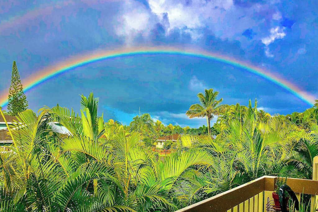 Photo of Outdoor in Princeville