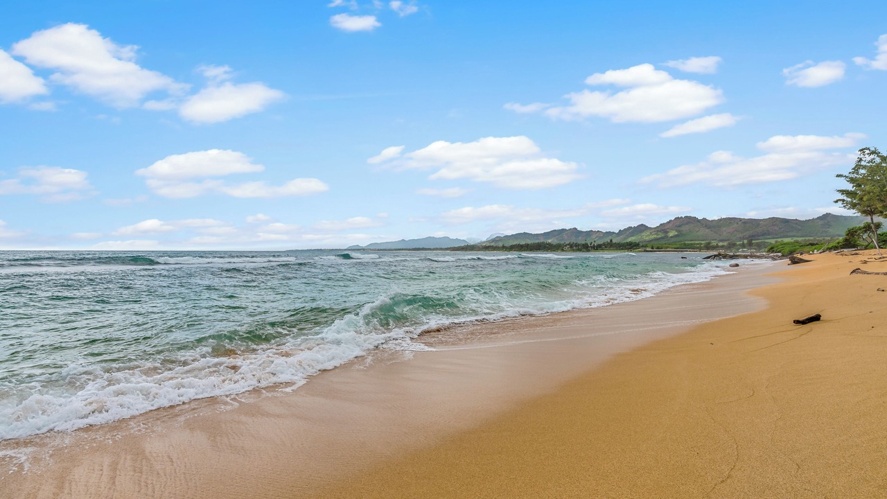 Photo of Others in Wailua