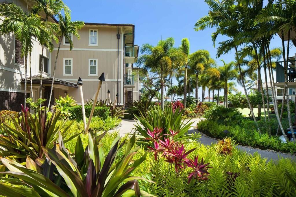 Photo of Outdoor in Princeville