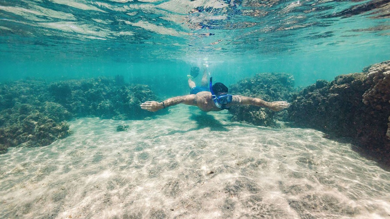 Photo of Others in Ko Olina