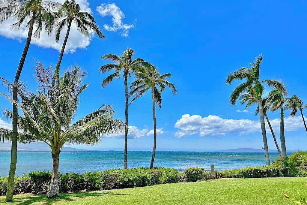 Photo of Others in Maalaea