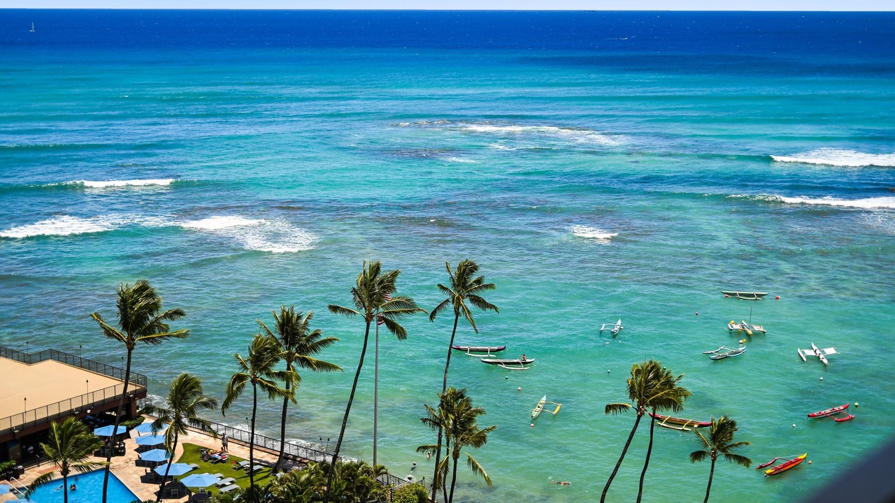 Photo of Others in Diamond Head - Kapahulu - St. Louis