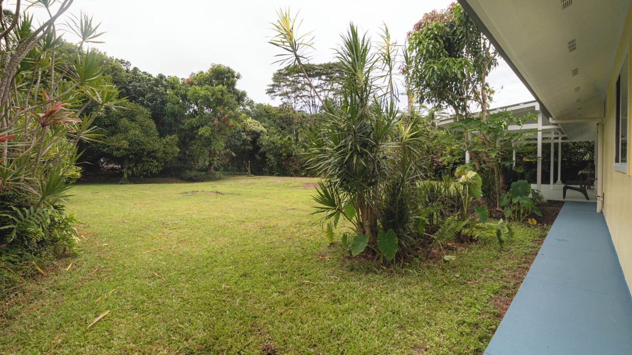 Photo of Outdoor in Kapoho