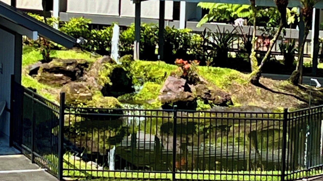 Photo of Outdoor in Hilo