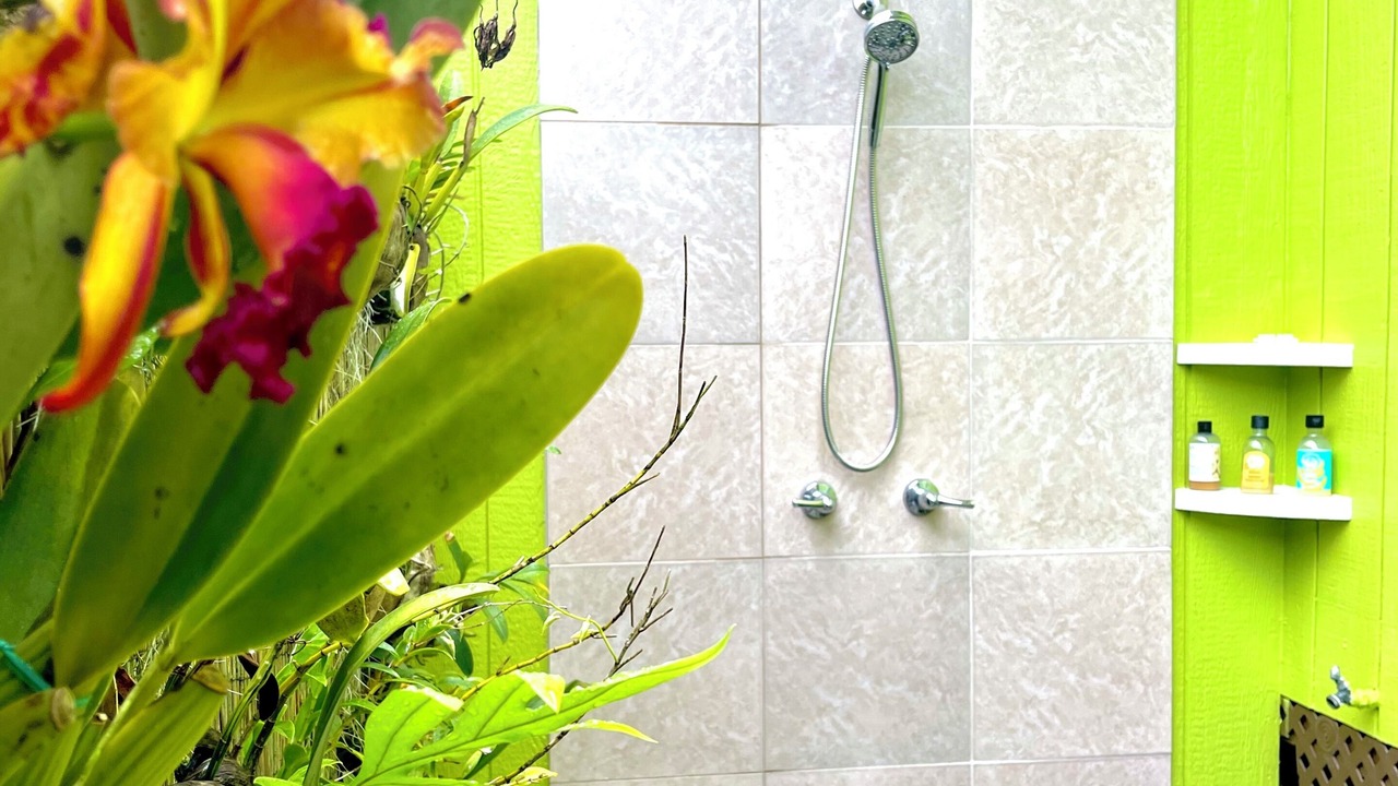 Photo of Bathroom in Kehena