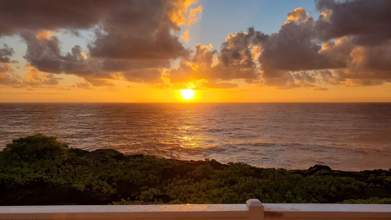 Photo of Outdoor in Keaau