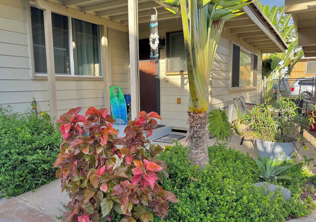 Photo of Outdoor in Ewa