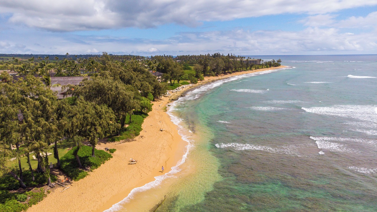 Photo of Others in Wailua