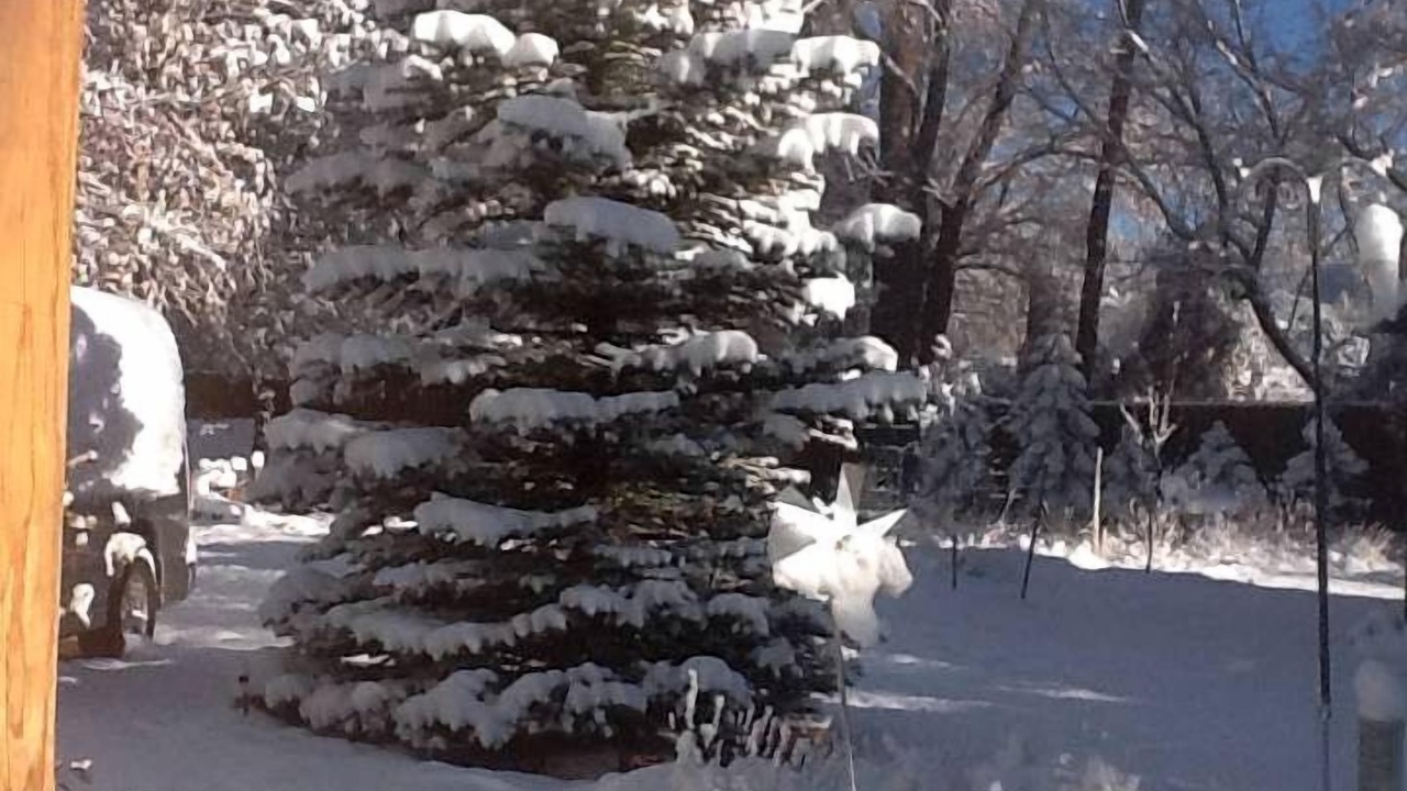 Photo of Outdoor in Pecos