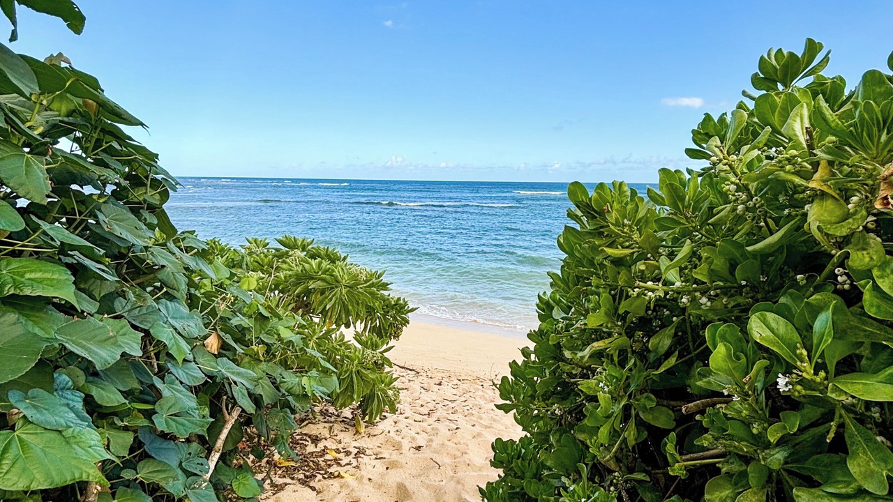 Photo of Others in Mokuleia