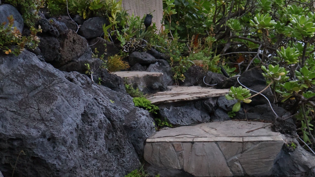 Photo of Outdoor in Portlock