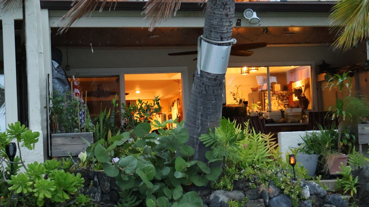 Photo of Outdoor in Portlock