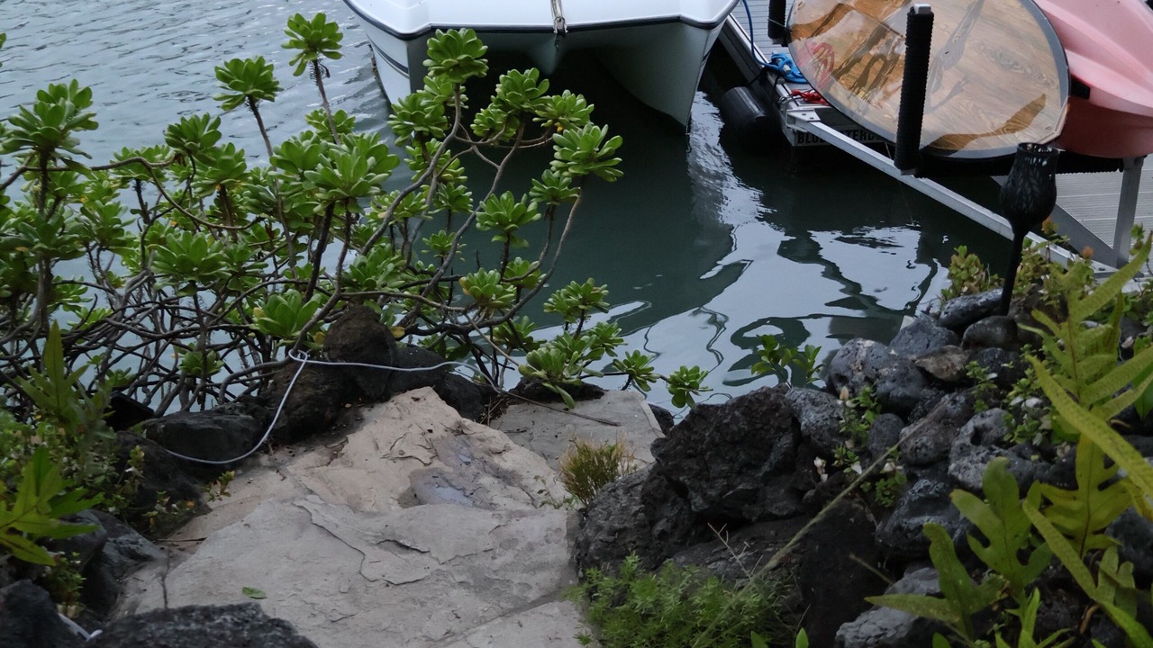 Photo of Others in Portlock